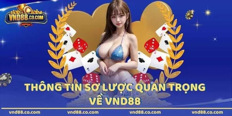 Thông tin sơ lược quan trọng về VND88 